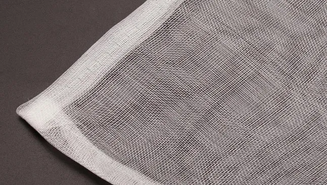 bird in net
