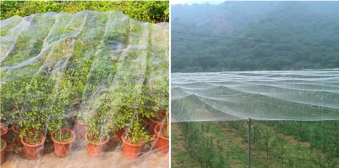 galvanised steel mesh panel