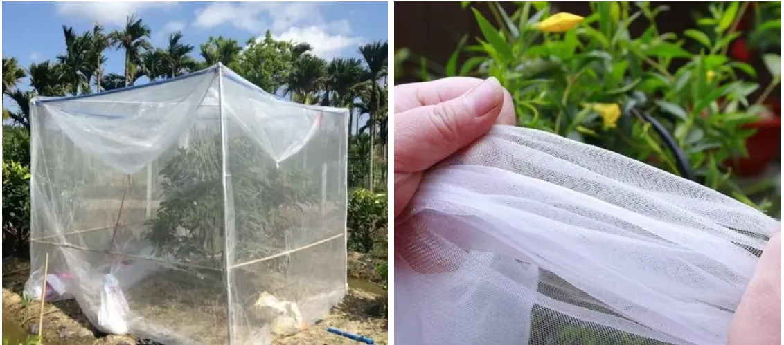 orange safety netting