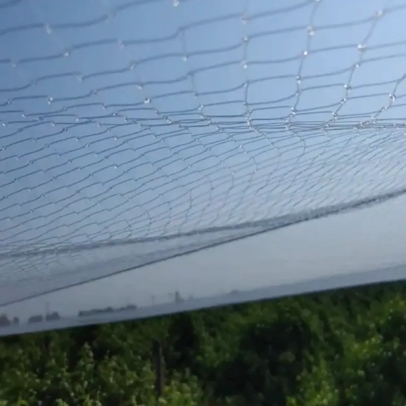 scaffold safety netting