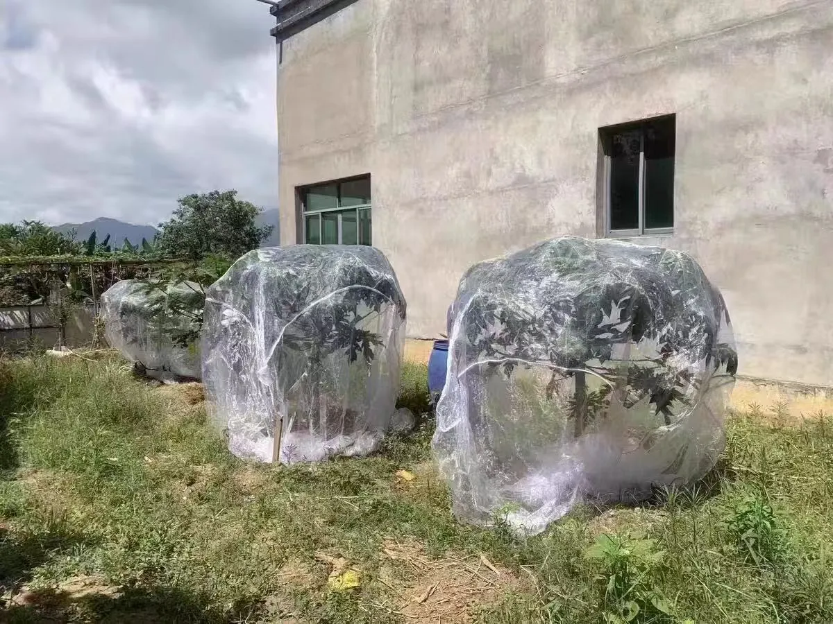 cloth bird netting