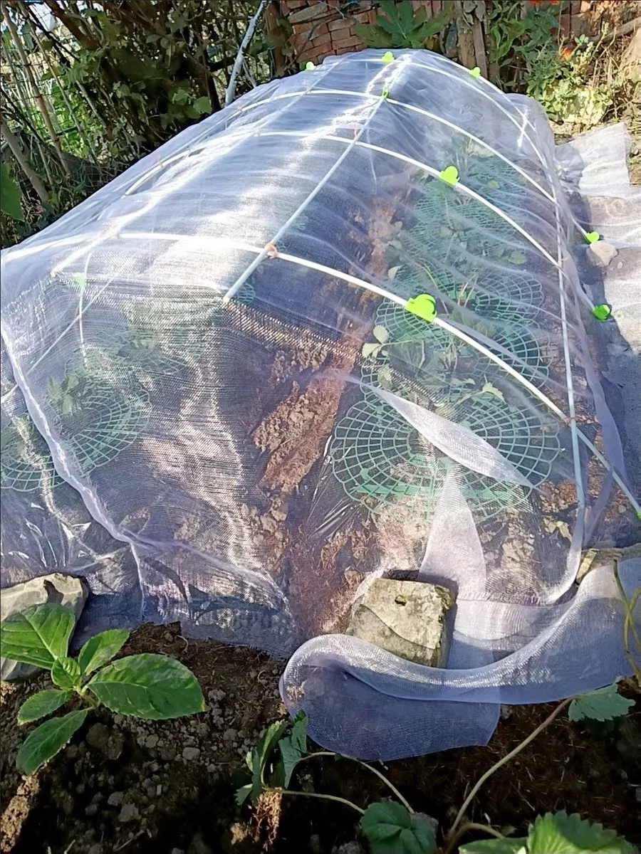 installing bird netting