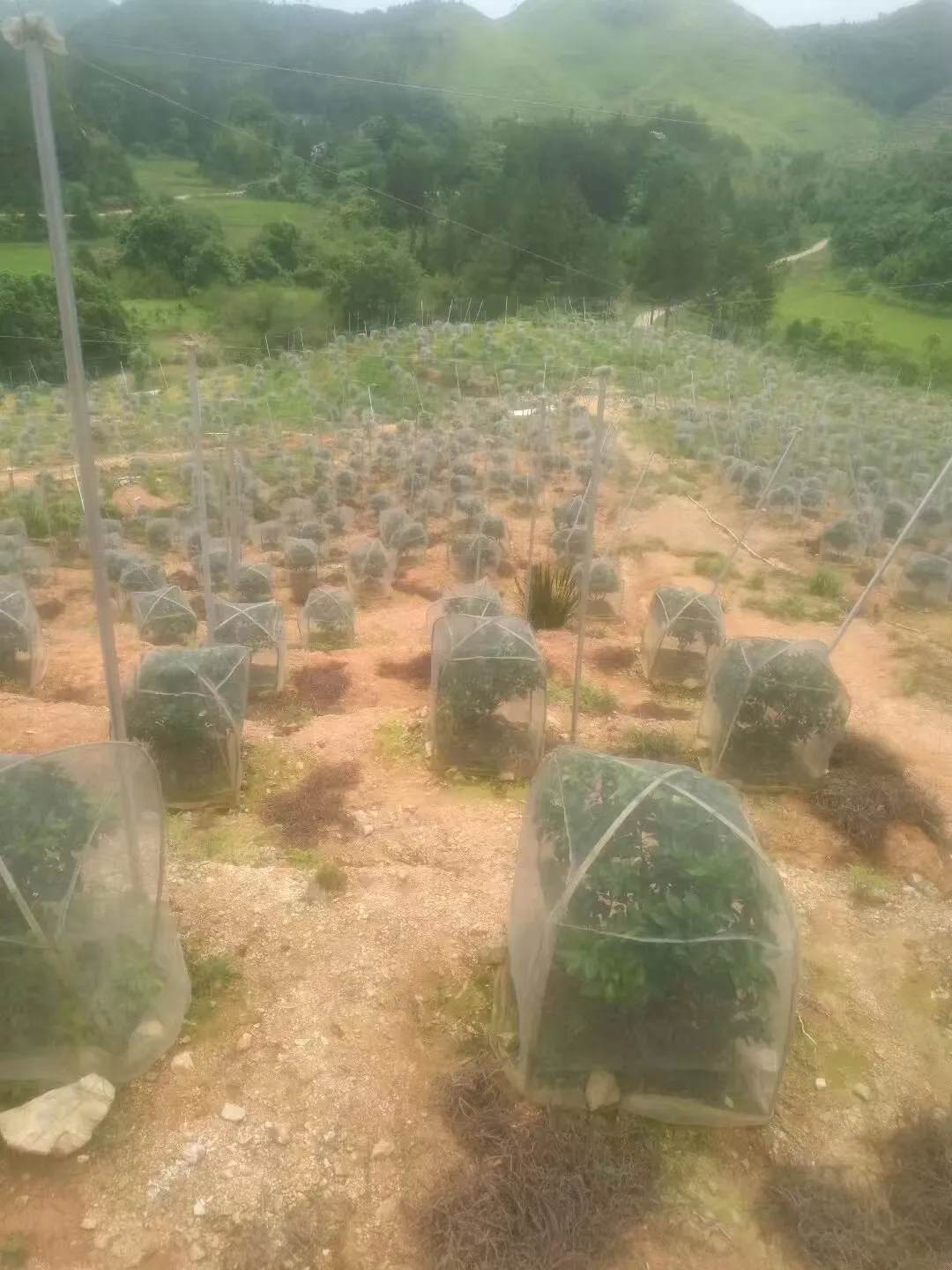 net for farming