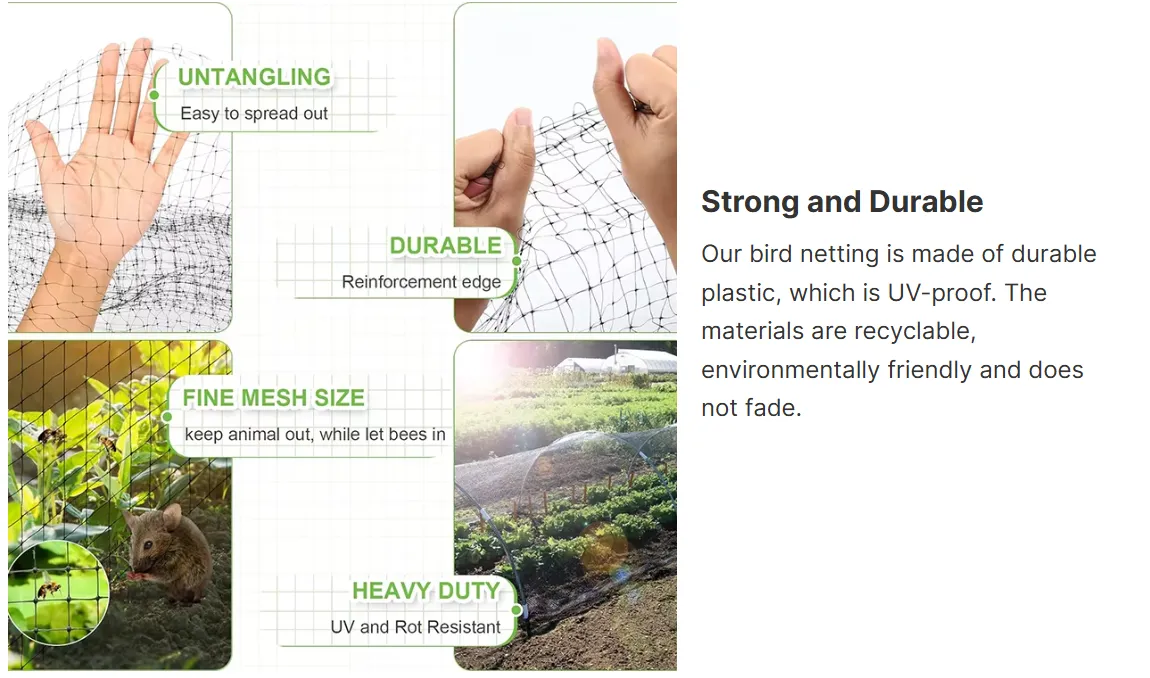 12 gauge wire mesh