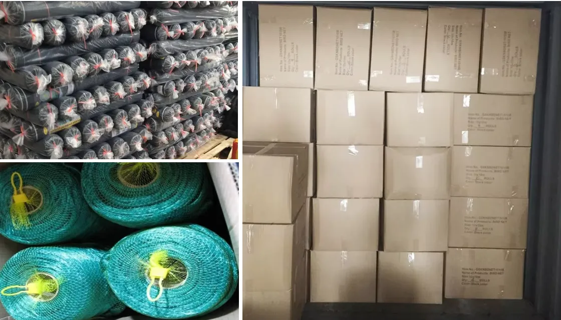 butterfly proof netting