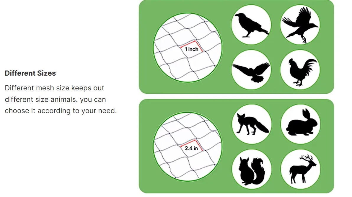 anti bird net for agriculture
