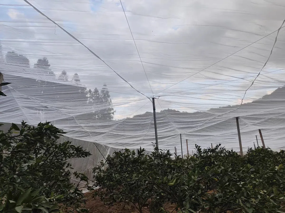 steel wire mesh panel