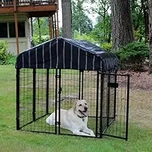 garden bird mesh