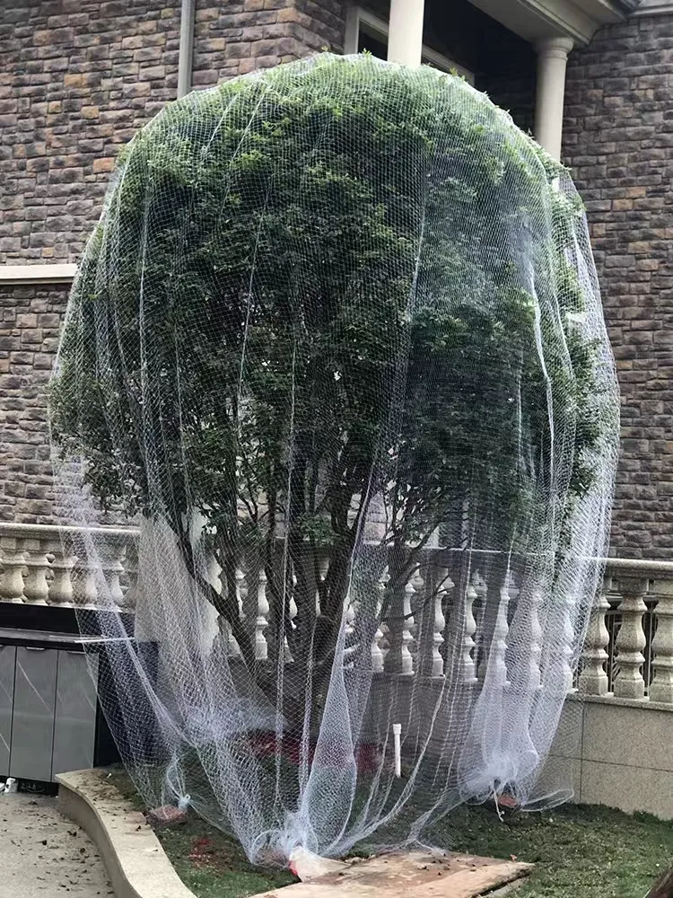 Read More About agricultural insect netting