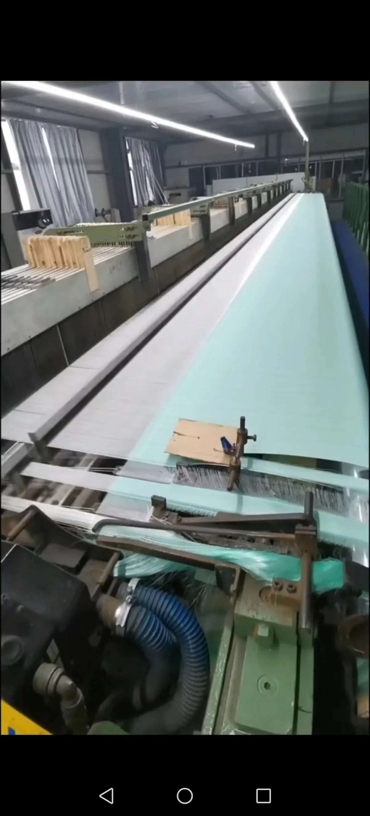 butterfly proof netting