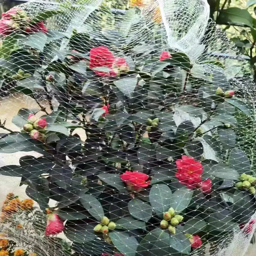 bug proof mesh