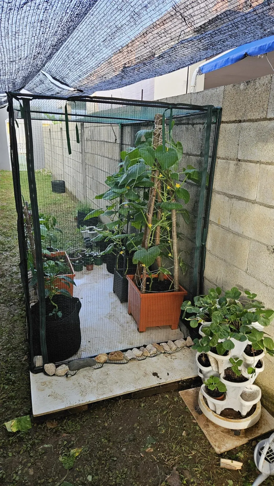 farm netting