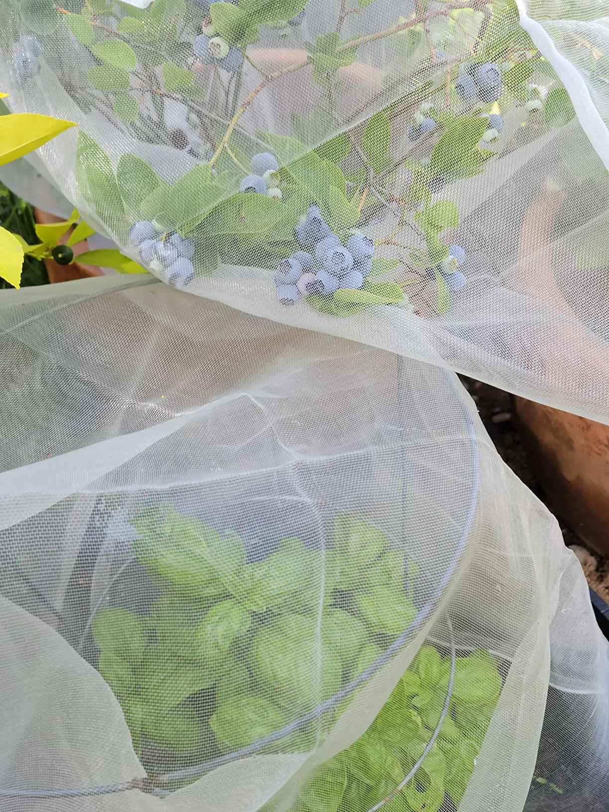 fall netting