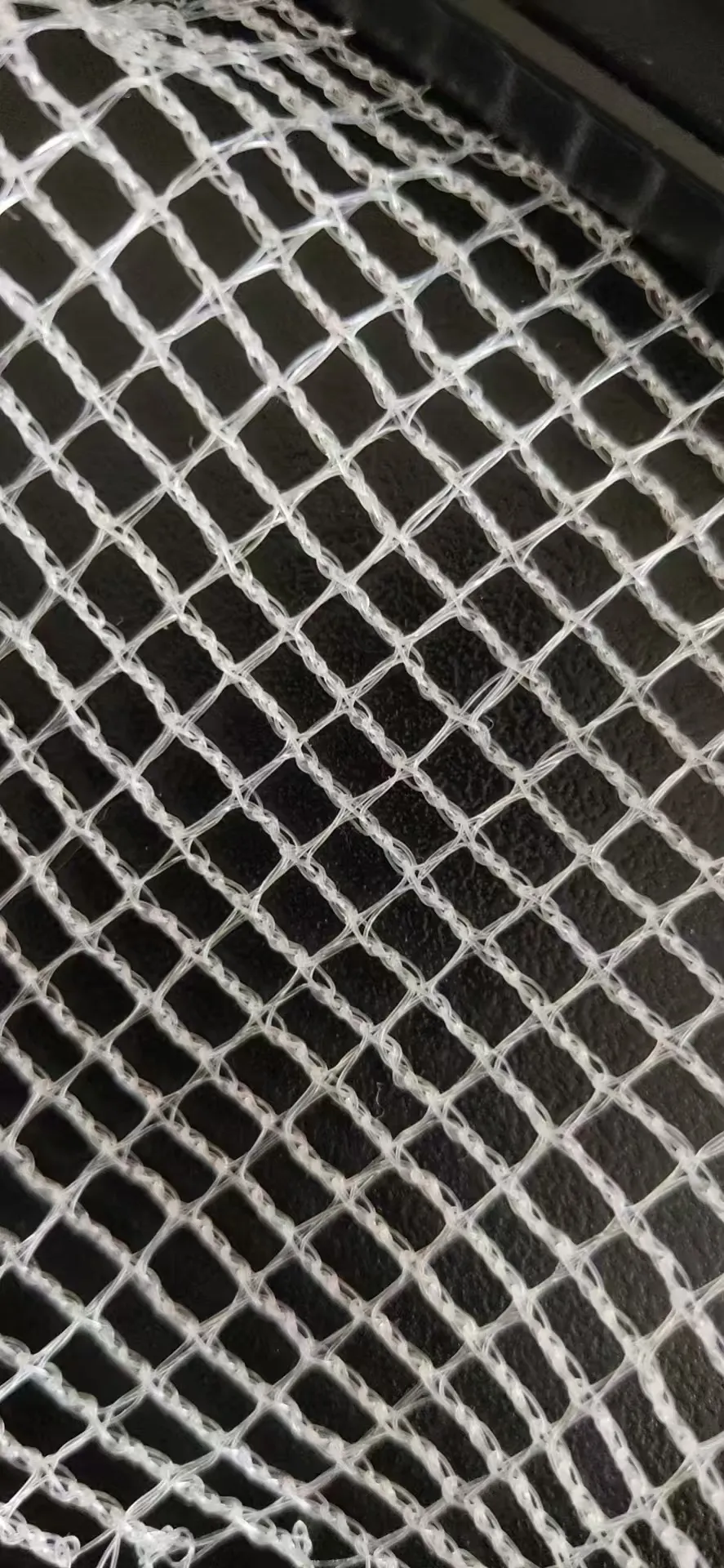 hawk netting