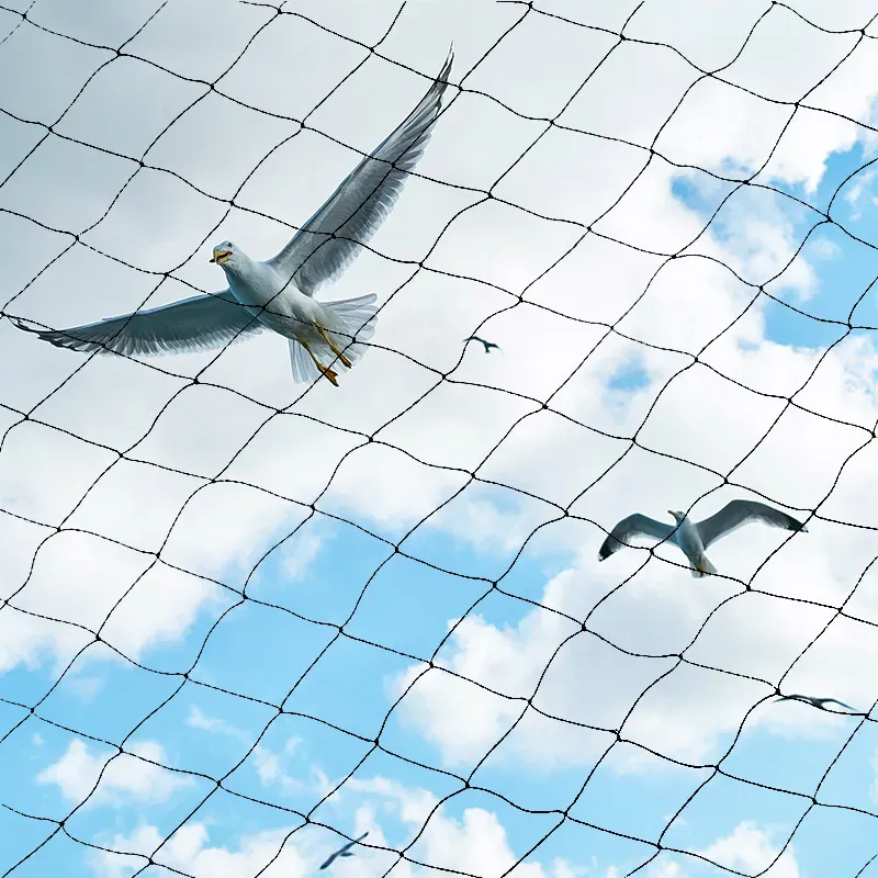 Read More About Agricultural Mesh
