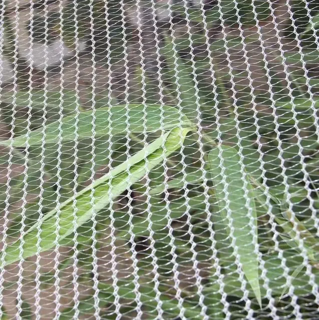 mesh insect cage