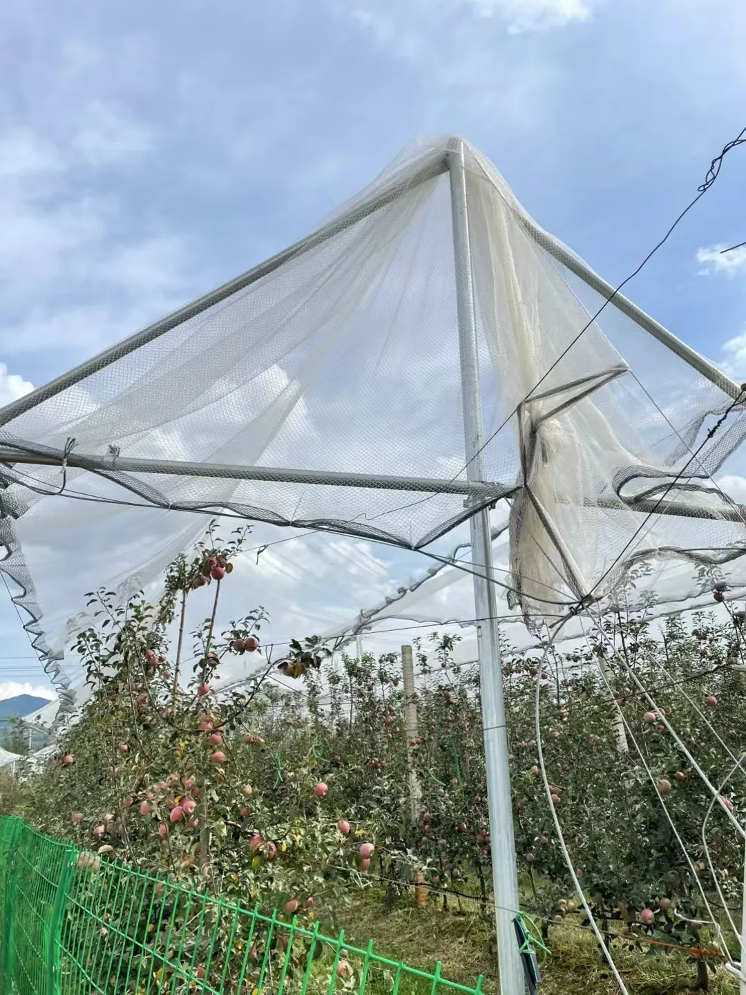 stainless steel filtration mesh