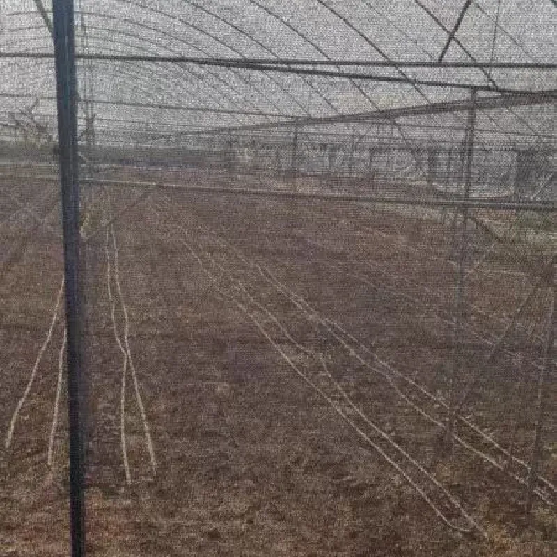 scaffold safety net