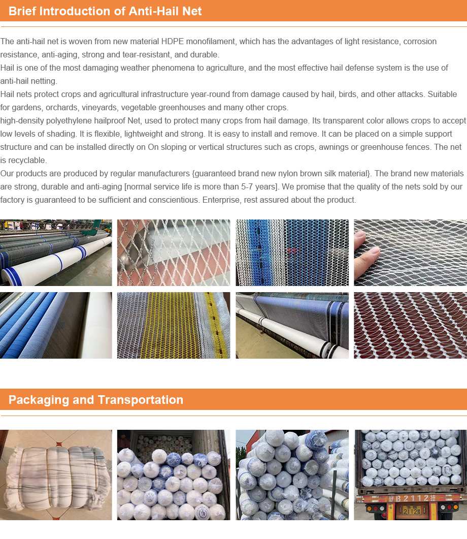 bird netting for roofs