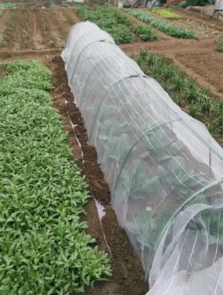 bug netting fabric