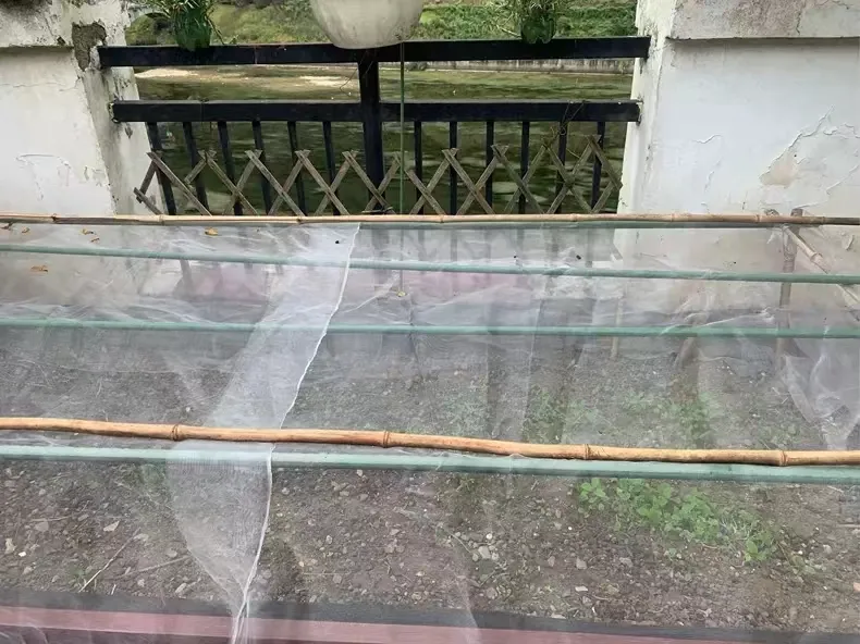 clear bird netting