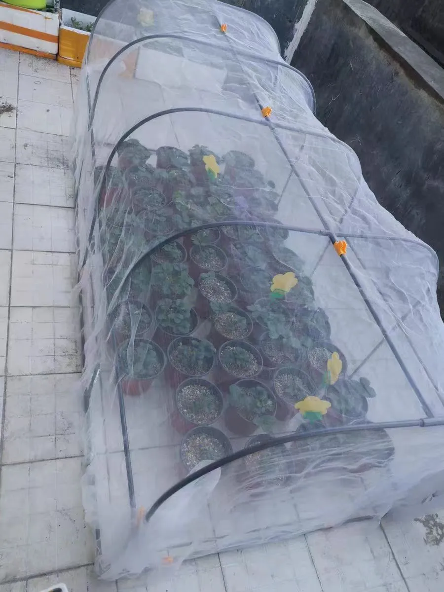 mesh plastic netting