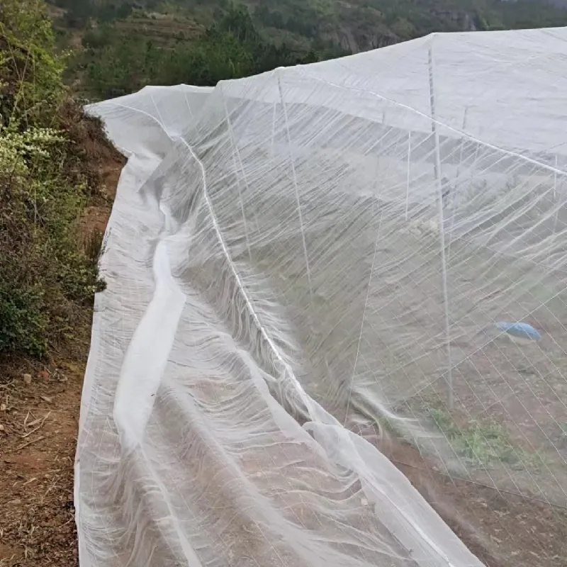 bird net to catch birds