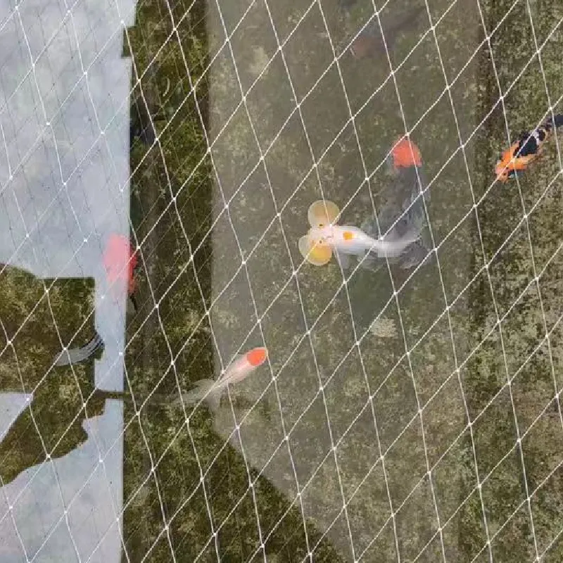 powder coated steel mesh