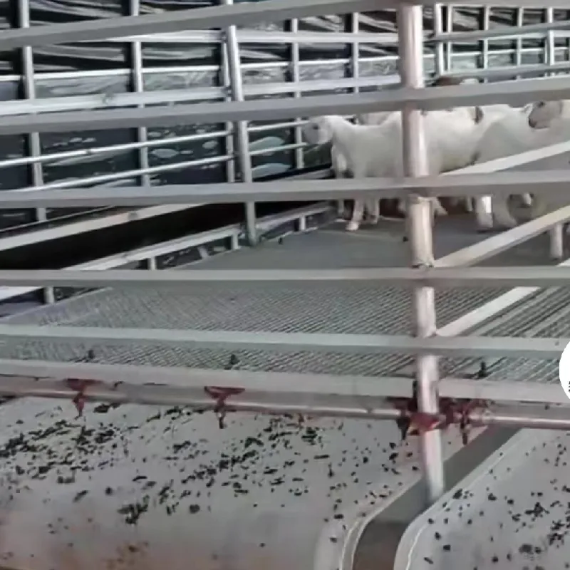 steel mesh partitions