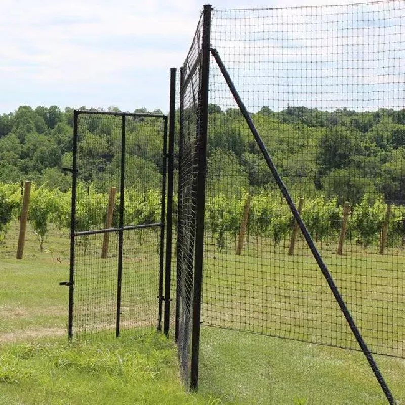 hanging bug net