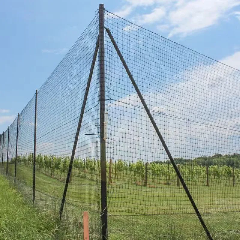rack netting
