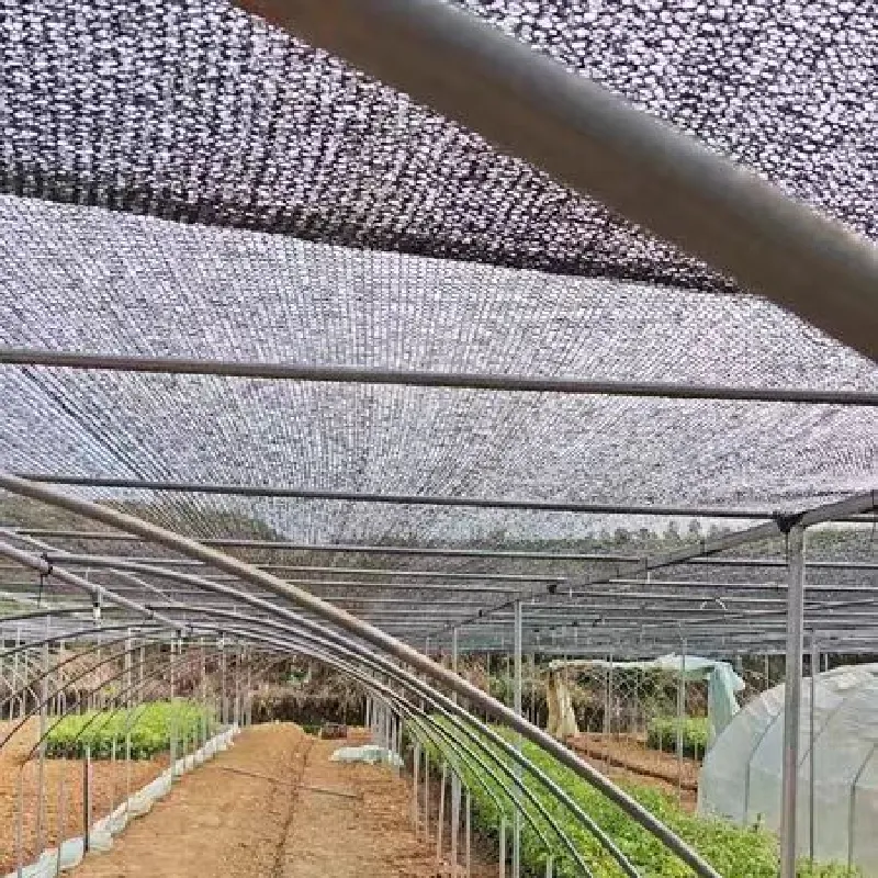 insect collecting net use